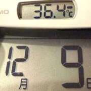 ヒメ日記 2025/12/09 10:17 投稿 らん MIKADO