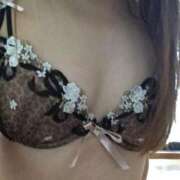 ヒメ日記 2025/12/20 03:31 投稿 らん MIKADO