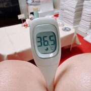 ヒメ日記 2026/01/10 07:31 投稿 らん MIKADO