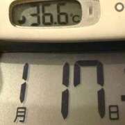 ヒメ日記 2026/01/17 06:05 投稿 らん MIKADO