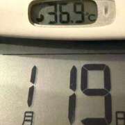 ヒメ日記 2026/01/19 08:49 投稿 らん MIKADO