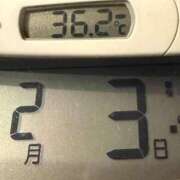 ヒメ日記 2026/02/03 06:15 投稿 らん MIKADO