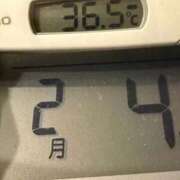 ヒメ日記 2026/02/04 07:56 投稿 らん MIKADO