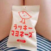 ヒメ日記 2026/02/10 11:31 投稿 らん MIKADO