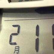 ヒメ日記 2026/02/11 08:11 投稿 らん MIKADO