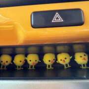 ヒメ日記 2026/02/24 05:11 投稿 らん MIKADO