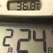 ヒメ日記 2026/02/24 05:21 投稿 らん MIKADO