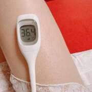 ヒメ日記 2026/03/01 07:21 投稿 らん MIKADO