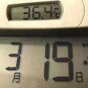 ヒメ日記 2026/03/19 06:31 投稿 らん MIKADO