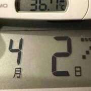 ヒメ日記 2026/04/02 09:36 投稿 らん MIKADO