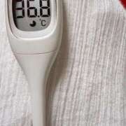 ヒメ日記 2026/04/03 07:58 投稿 らん MIKADO