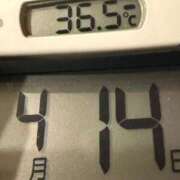 ヒメ日記 2026/04/14 11:45 投稿 らん MIKADO