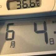 ヒメ日記 2026/06/04 08:05 投稿 らん MIKADO