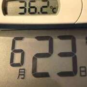 ヒメ日記 2026/06/23 08:51 投稿 らん MIKADO