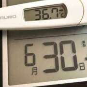 ヒメ日記 2026/06/30 07:05 投稿 らん MIKADO
