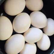 ヒメ日記 2025/04/27 18:21 投稿 神谷　ふく OLセレクション宇都宮店