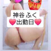 ヒメ日記 2025/06/03 10:00 投稿 神谷　ふく OLセレクション宇都宮店