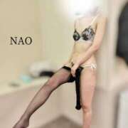 ヒメ日記 2026/03/29 12:41 投稿 川本なお マダムと紳士