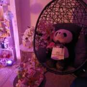 ヒメ日記 2026/04/07 16:31 投稿 川本なお マダムと紳士