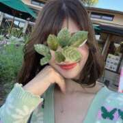 ヒメ日記 2024/12/23 05:34 投稿 永瀬なな 金瓶梅(きんぺいぱい)(雄琴)