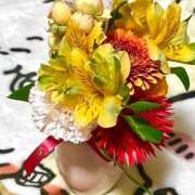 ヒメ日記 2025/03/08 08:04 投稿 永瀬なな 金瓶梅(きんぺいぱい)(雄琴)