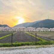 ヒメ日記 2025/04/18 02:04 投稿 永瀬なな 金瓶梅(きんぺいぱい)(雄琴)