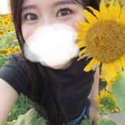 ヒメ日記 2025/08/19 21:50 投稿 永瀬なな 金瓶梅(きんぺいぱい)(雄琴)