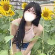 ヒメ日記 2025/08/28 06:54 投稿 永瀬なな 金瓶梅(きんぺいぱい)(雄琴)