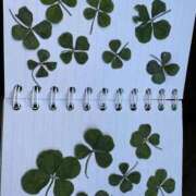 ヒメ日記 2025/09/29 18:54 投稿 永瀬なな 金瓶梅(きんぺいぱい)(雄琴)