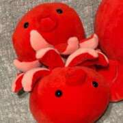 ヒメ日記 2025/10/03 00:14 投稿 永瀬なな 金瓶梅(きんぺいぱい)(雄琴)