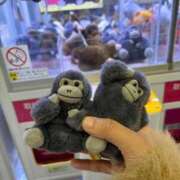 ヒメ日記 2025/11/08 23:28 投稿 永瀬なな 金瓶梅(きんぺいぱい)(雄琴)