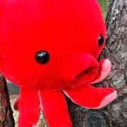 ヒメ日記 2025/11/08 23:34 投稿 永瀬なな 金瓶梅(きんぺいぱい)(雄琴)