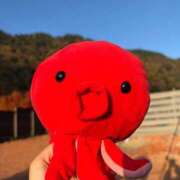 ヒメ日記 2025/11/18 01:24 投稿 永瀬なな 金瓶梅(きんぺいぱい)(雄琴)