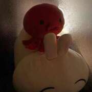 ヒメ日記 2025/11/28 00:19 投稿 永瀬なな 金瓶梅(きんぺいぱい)(雄琴)