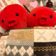 ヒメ日記 2025/12/21 17:34 投稿 永瀬なな 金瓶梅(きんぺいぱい)(雄琴)