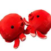 ヒメ日記 2025/12/23 14:04 投稿 永瀬なな 金瓶梅(きんぺいぱい)(雄琴)