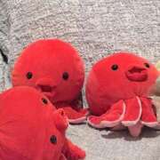 ヒメ日記 2026/01/05 08:04 投稿 永瀬なな 金瓶梅(きんぺいぱい)(雄琴)