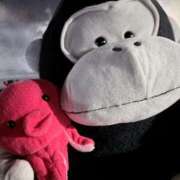 ヒメ日記 2026/01/06 07:49 投稿 永瀬なな 金瓶梅(きんぺいぱい)(雄琴)