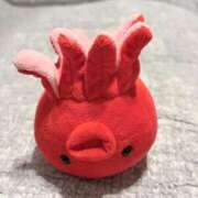 ヒメ日記 2026/01/13 02:34 投稿 永瀬なな 金瓶梅(きんぺいぱい)(雄琴)