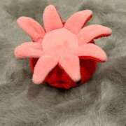 ヒメ日記 2026/01/25 09:37 投稿 永瀬なな 金瓶梅(きんぺいぱい)(雄琴)