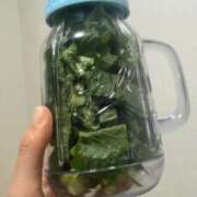 ヒメ日記 2026/01/27 14:14 投稿 永瀬なな 金瓶梅(きんぺいぱい)(雄琴)