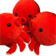 ヒメ日記 2026/02/07 01:17 投稿 永瀬なな 金瓶梅(きんぺいぱい)(雄琴)