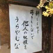 ヒメ日記 2026/07/13 07:34 投稿 永瀬なな 金瓶梅(きんぺいぱい)(雄琴)