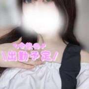 ヒメ日記 2025/01/11 20:19 投稿 シュリ Club Hearts