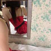 ヒメ日記 2024/12/19 23:01 投稿 なな MIKADO