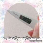 ヒメ日記 2024/12/20 23:31 投稿 なな MIKADO