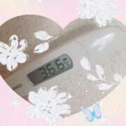 ヒメ日記 2024/12/26 06:21 投稿 なな MIKADO