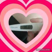 ヒメ日記 2025/01/14 22:15 投稿 なな MIKADO