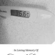 ヒメ日記 2025/01/15 15:41 投稿 なな MIKADO