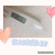 ヒメ日記 2025/01/24 07:11 投稿 なな MIKADO